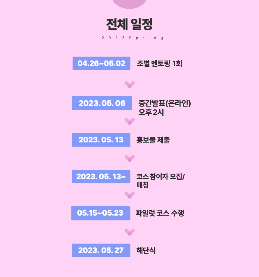 전체 일정.png